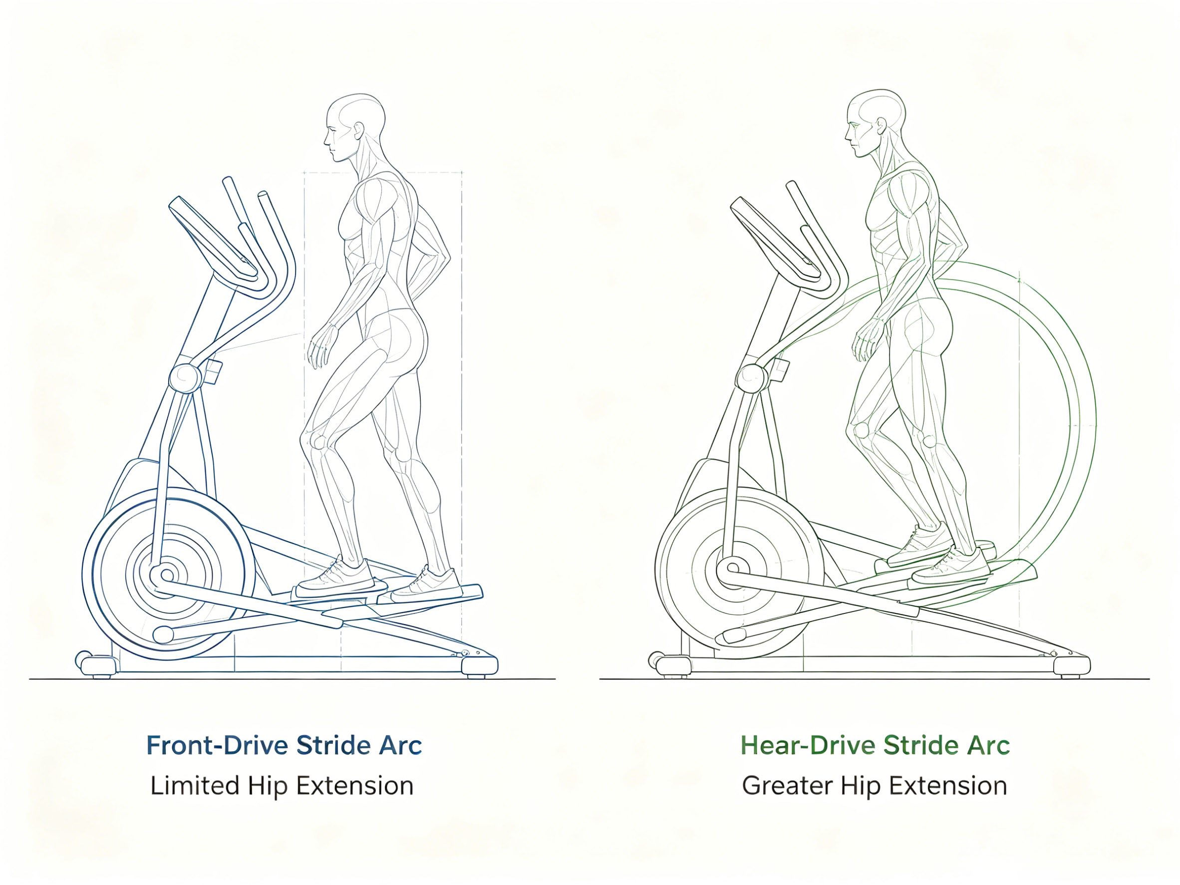 Front Drive vs Rear Drive Elliptical_ Which Design Is Superior (3)